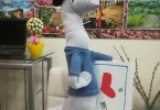 Zdjęcie
