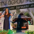 Letni ogród muzyczny - koncert „Otoczeni barwami muzyki”  - relacja